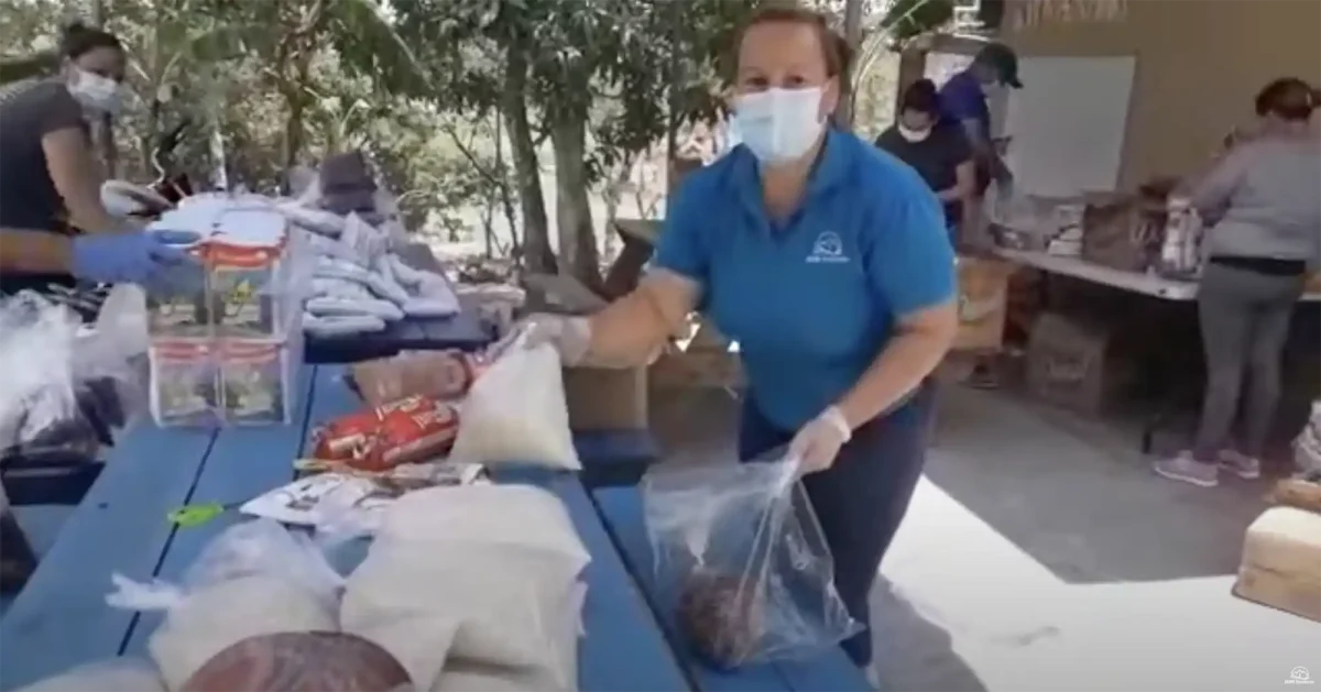 team members pack food items for distribution